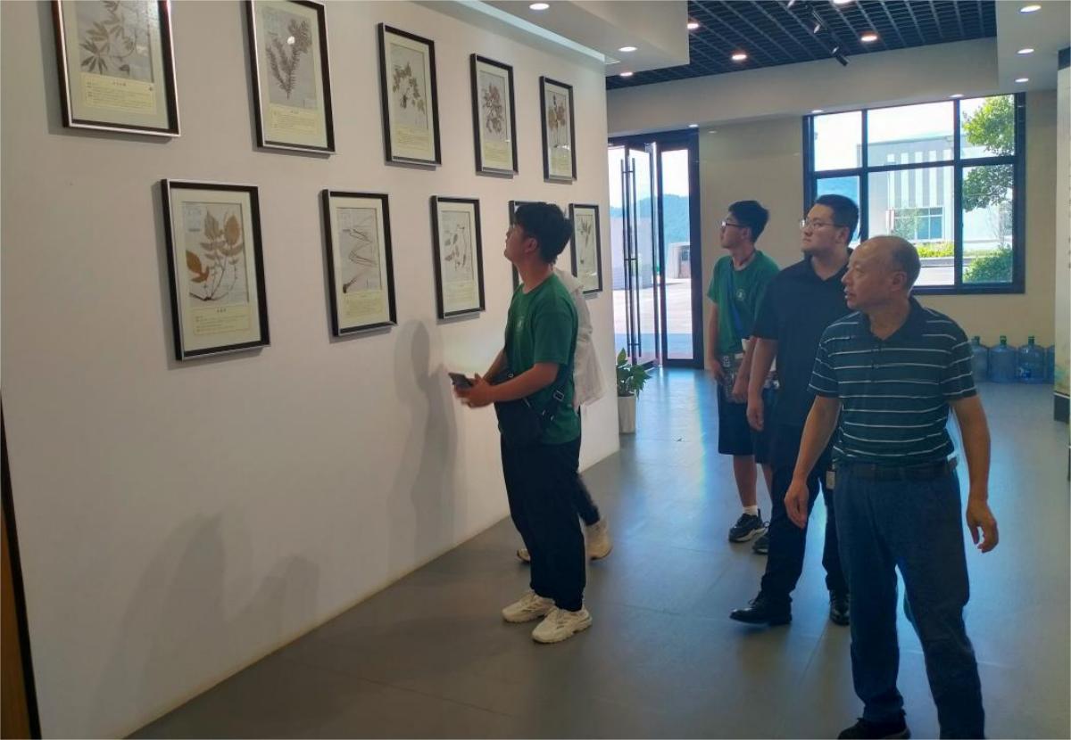 何经理引导团队成员参观欣中医药标本展厅（必赢242net官网 供图）(1)